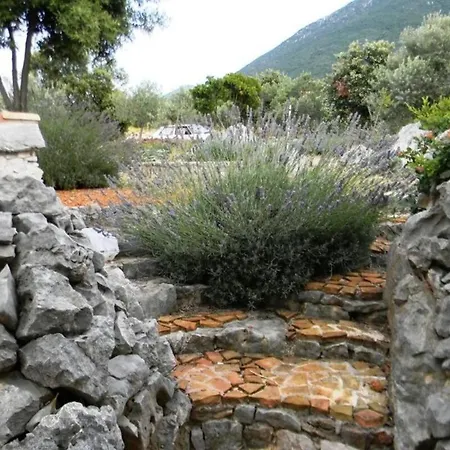 فندق Traditional Dalmatian Lavander & Sage تربانج